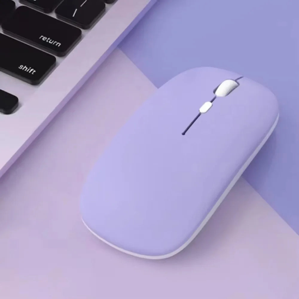 Souris d'Ordinateur Moderne