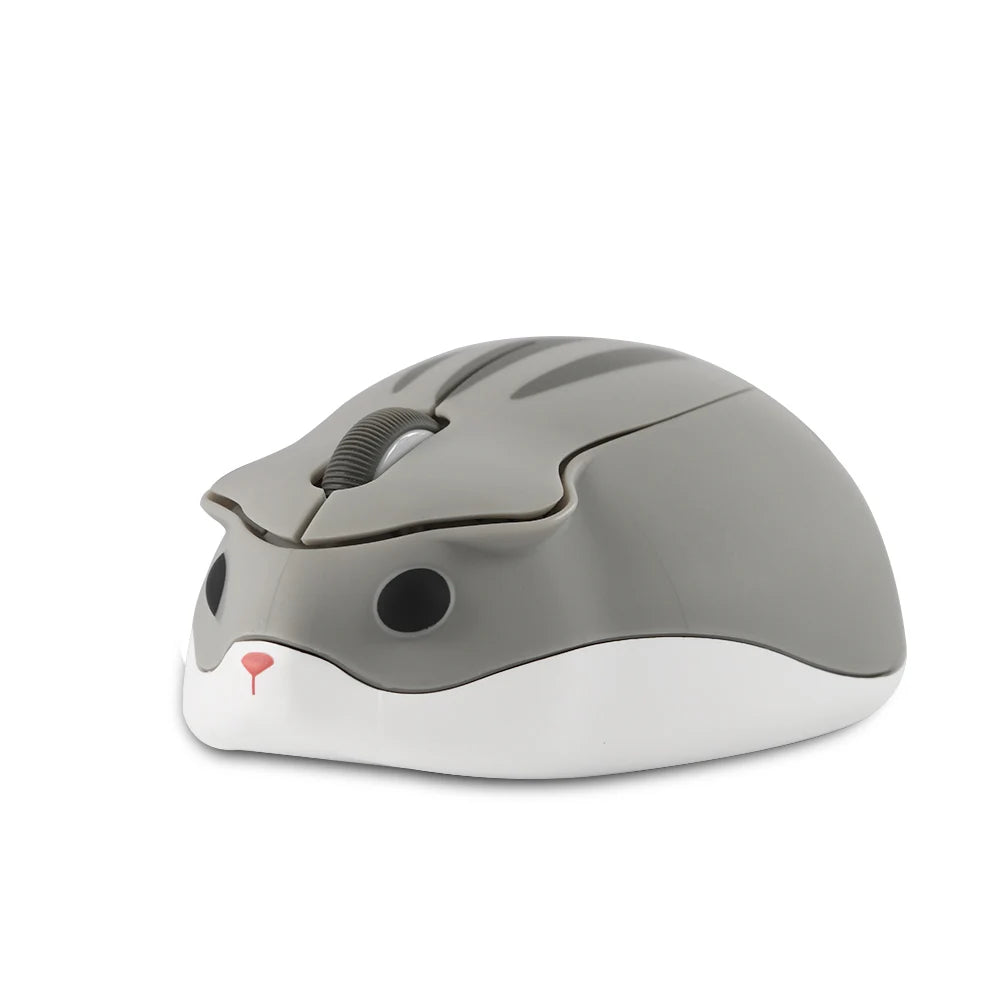 Souris Animaux Amusant