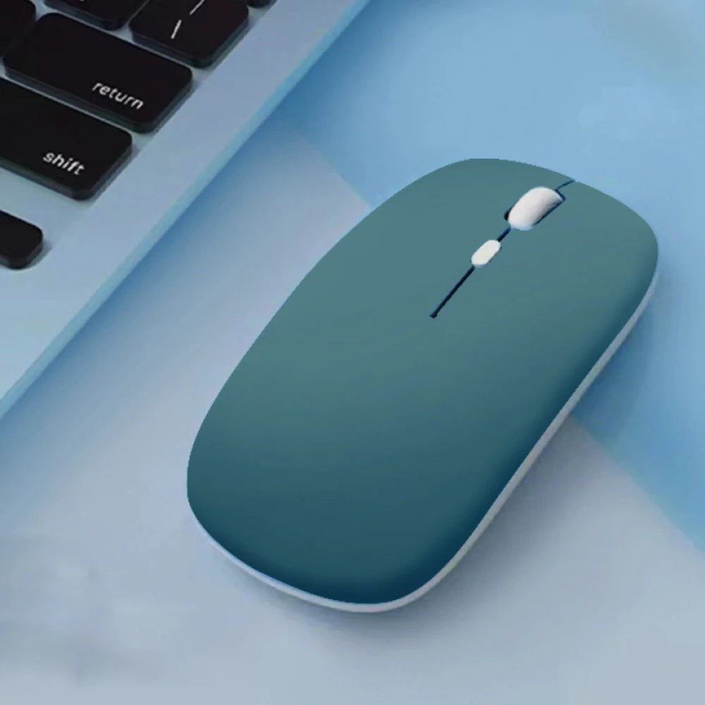 Souris d'Ordinateur Moderne