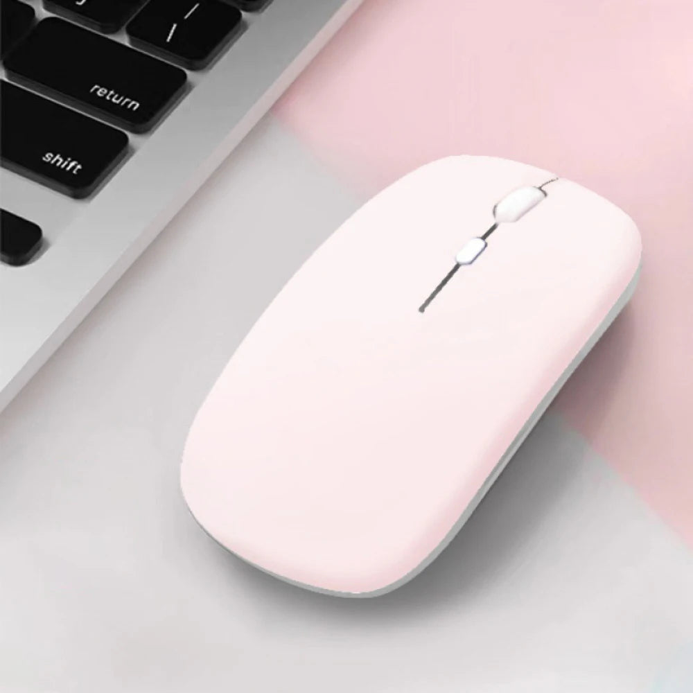 Souris d'Ordinateur Moderne