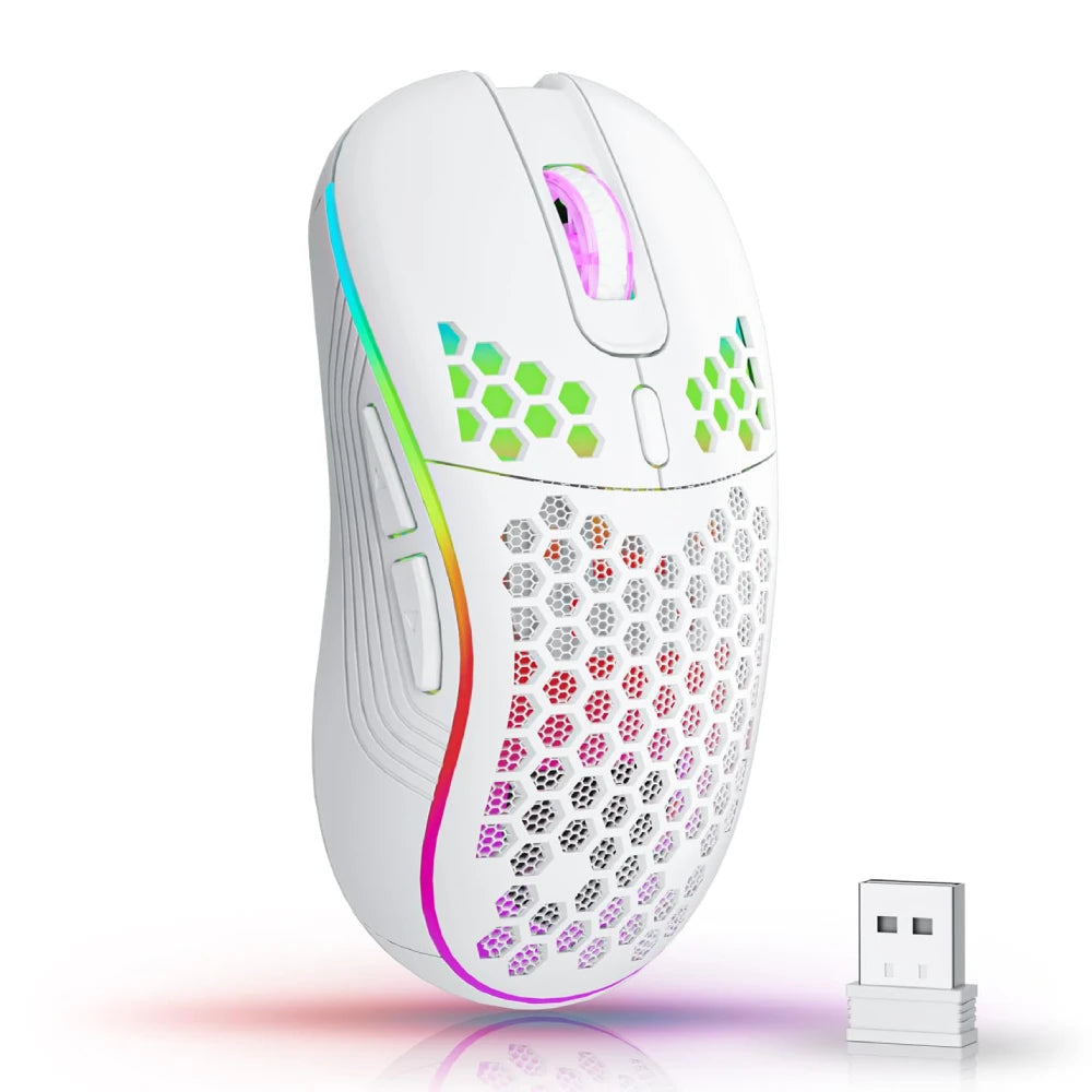 Souris Led
