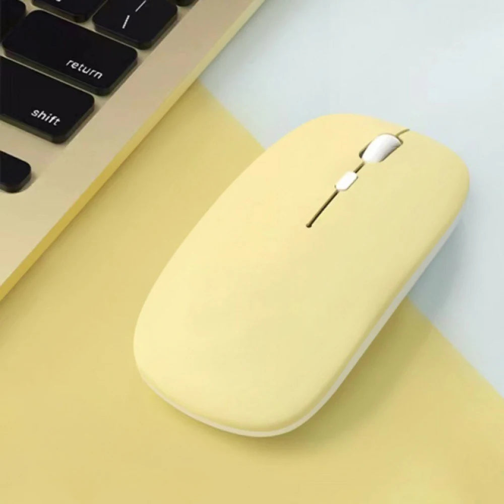 Souris d'Ordinateur Moderne