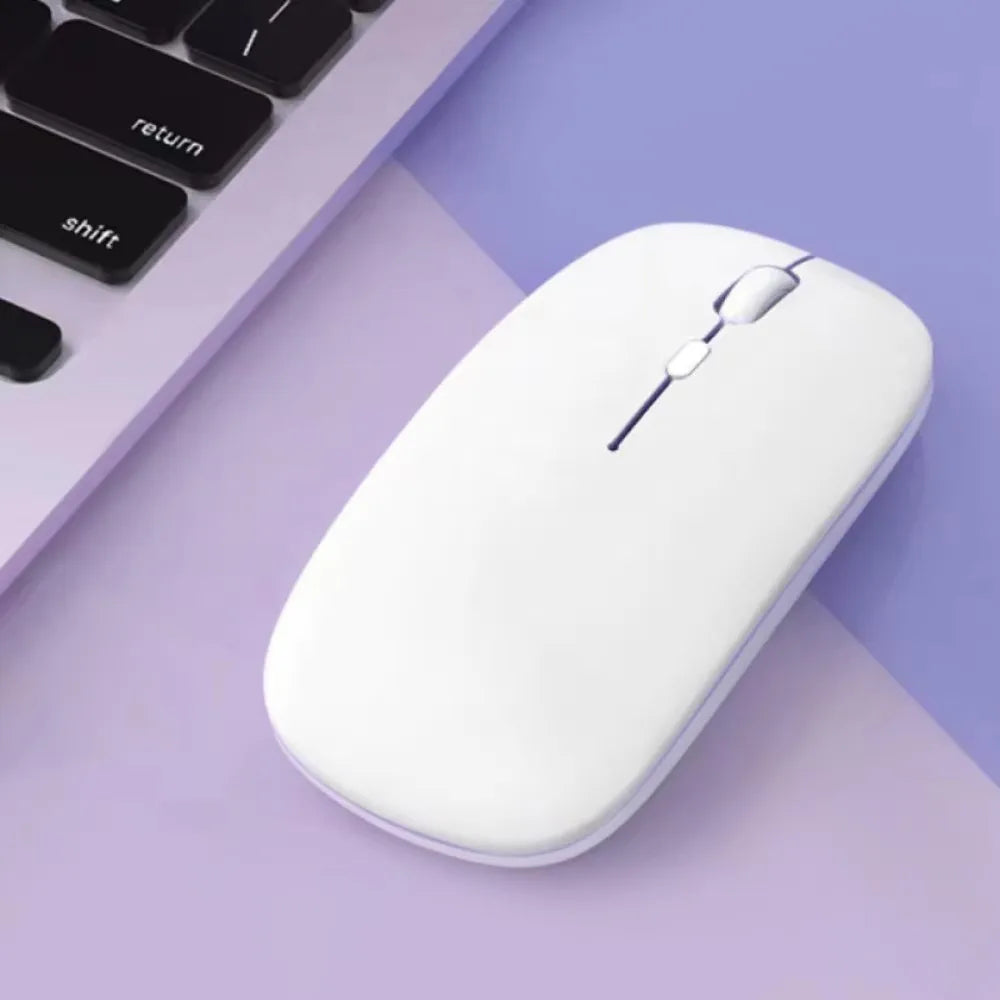 Souris d'Ordinateur Moderne
