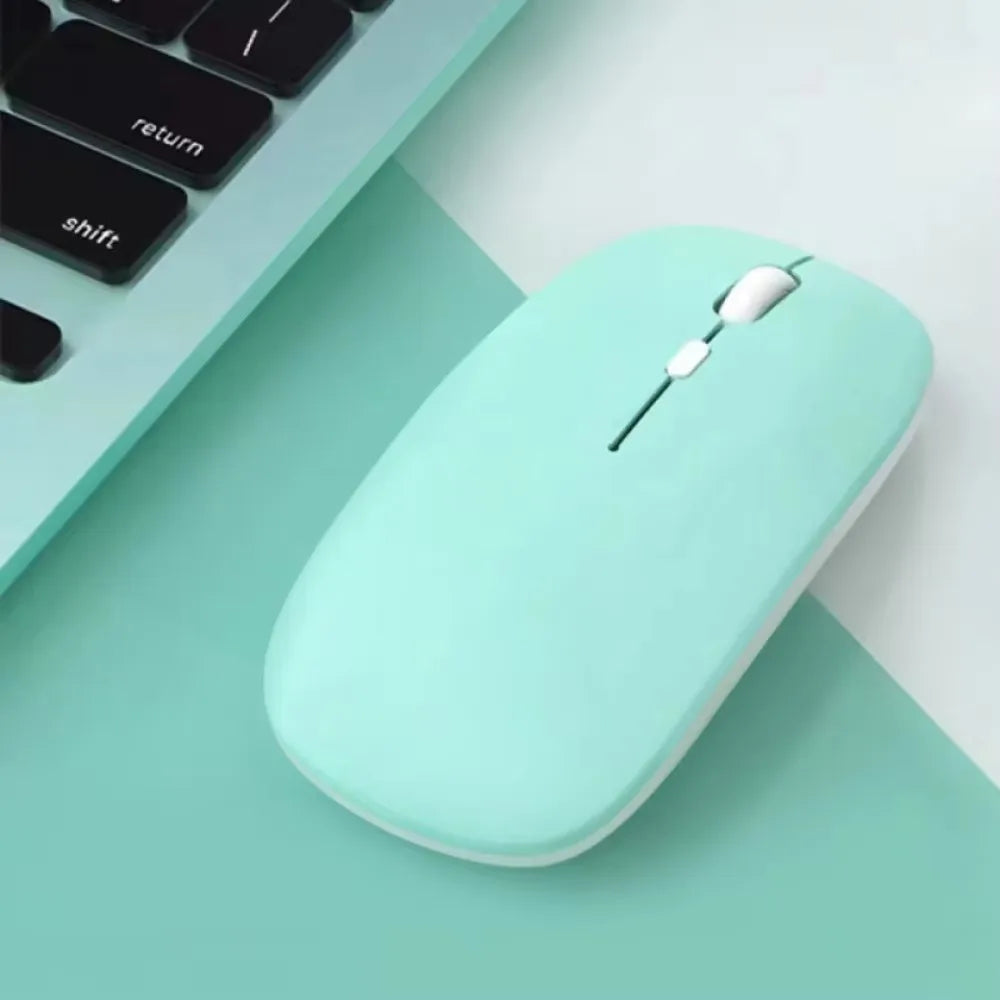 Souris d'Ordinateur Moderne
