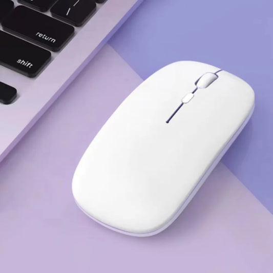 Souris d'Ordinateur Moderne